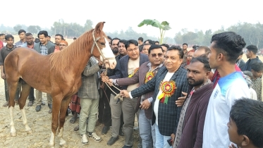 শাজাহানপুরে ঐতিহ্যবাহী ঘোড়া দৌড় প্রতিযোগিতা